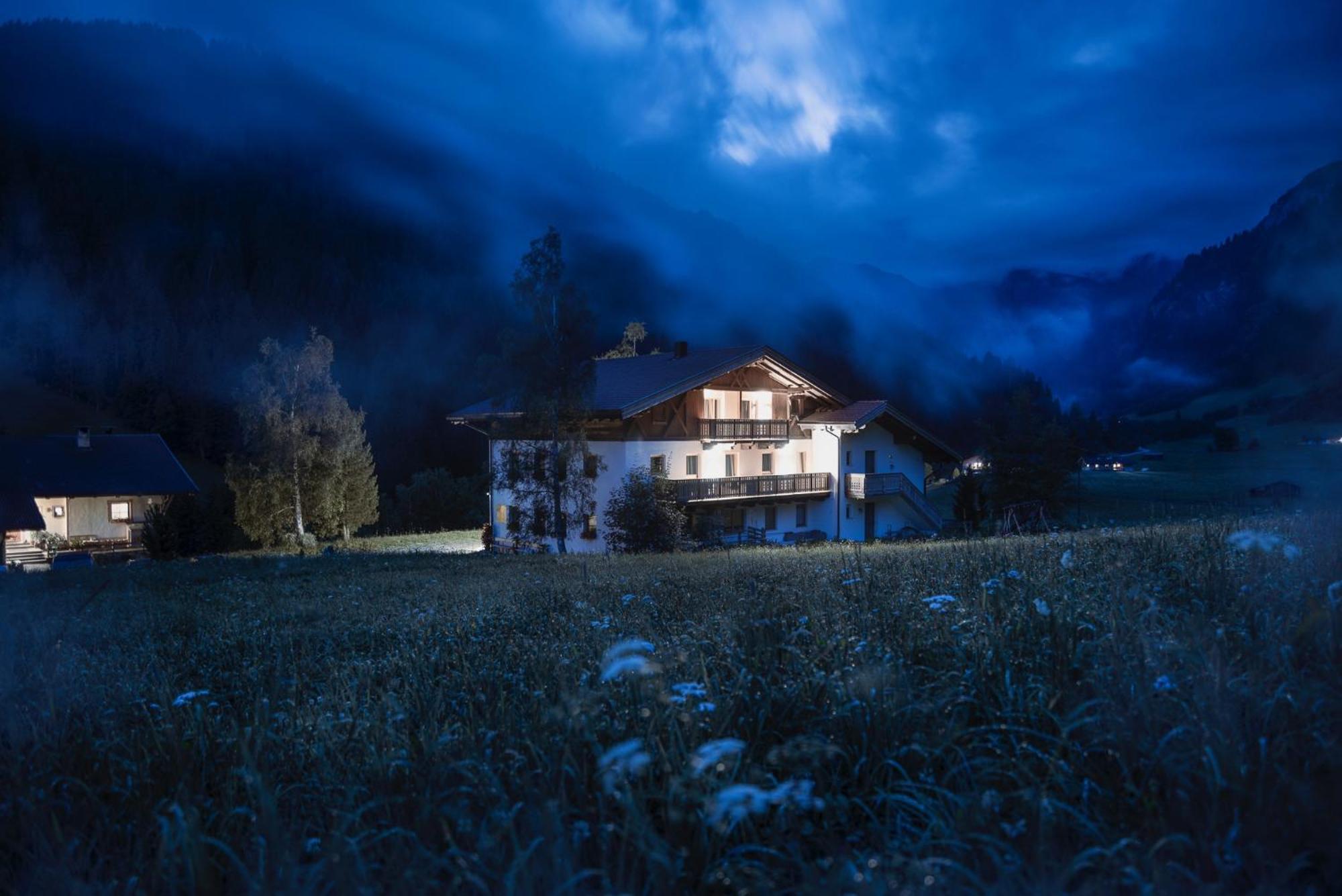 Seeberhof * Racines